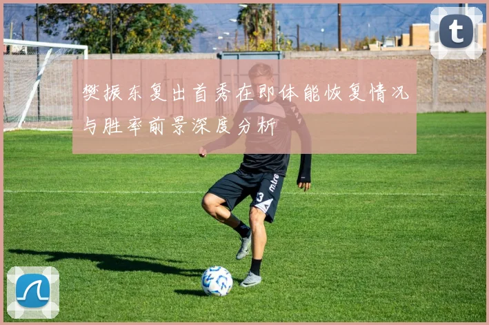 樊振东复出首秀在即体能恢复情况与胜率前景深度分析