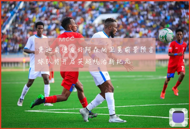 费迪南德看好阿森纳卫冕前景预言球队将开启英超统治新纪元