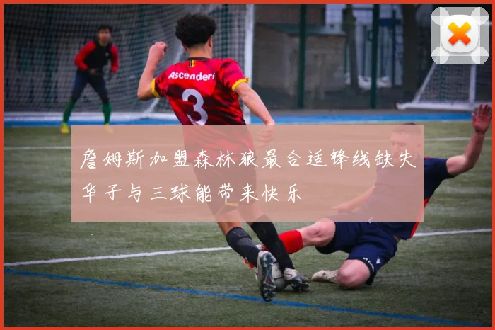 詹姆斯加盟森林狼最合适锋线缺失华子与三球能带来快乐